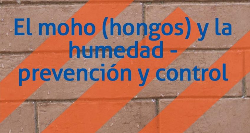 El moho (hongos) y la humedad – prevención y control